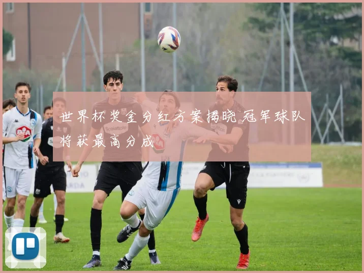 世界杯奖金分红方案揭晓 冠军球队将获最高分成