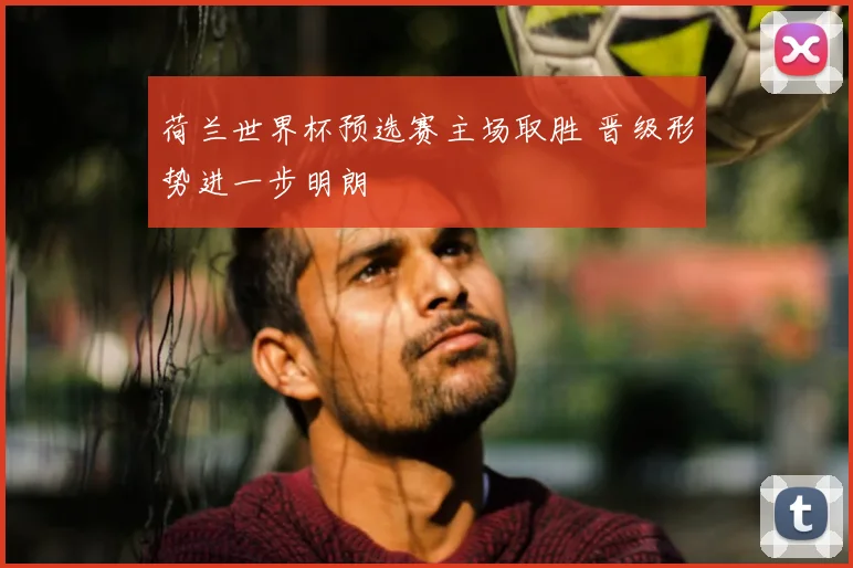 荷兰世界杯预选赛主场取胜 晋级形势进一步明朗