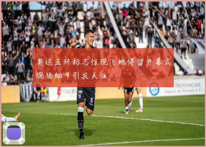 奥运五环标志惊现飞蛾停留开幕式现场细节引发关注