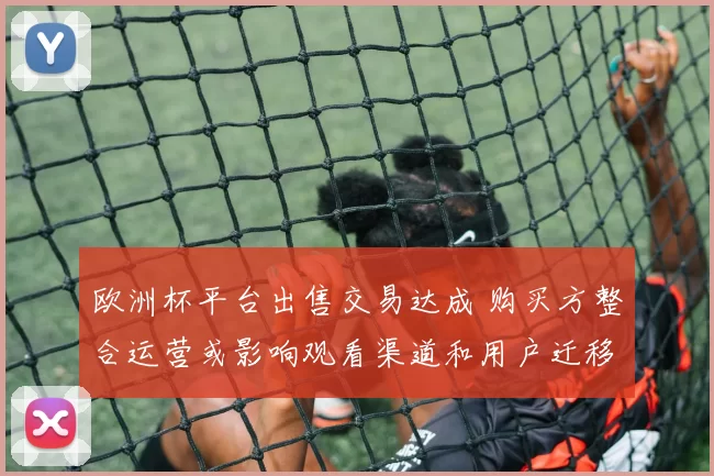 欧洲杯平台出售交易达成 购买方整合运营或影响观看渠道和用户迁移